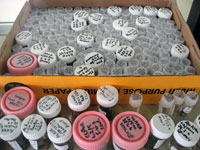 Closeup of plastic vials element